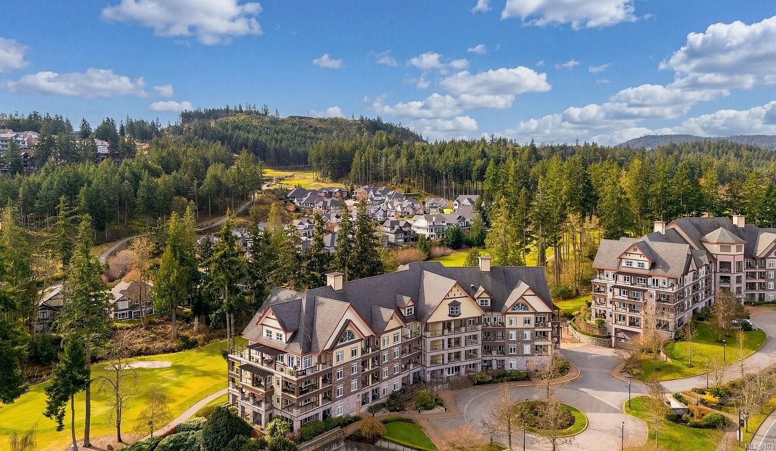 1375 Bear Mountain Pkwy #301