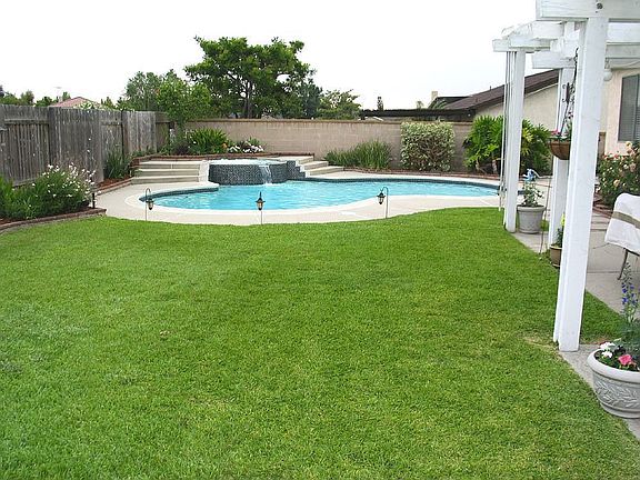Manicured Back Yard