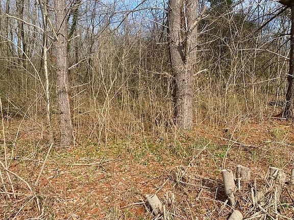 5th image of 0 S Chattanooga St Tract 4