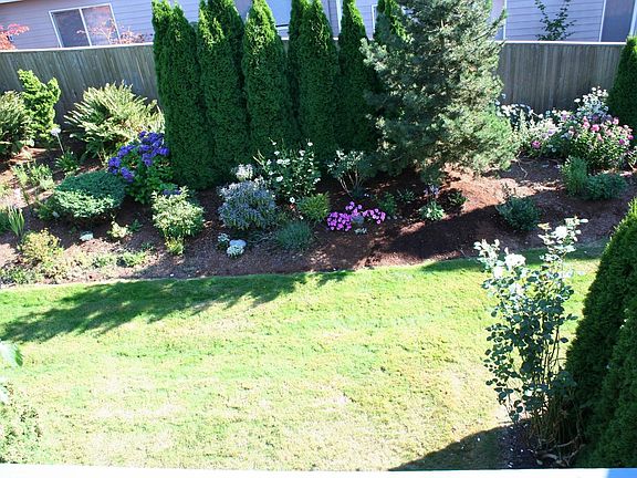 Backyard and personal garden.