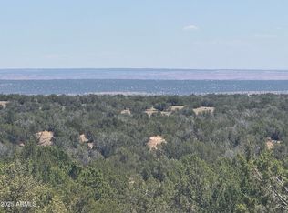 LOT-120B Red Sky Rnch, Saint Johns, AZ 85936