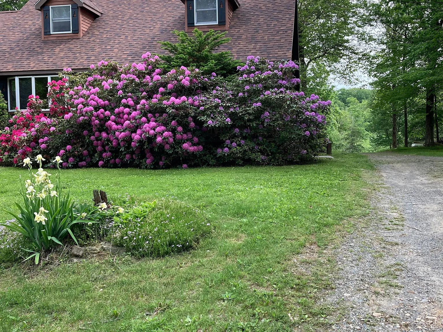 Bailey Rd, Cropseyville — Photo 2