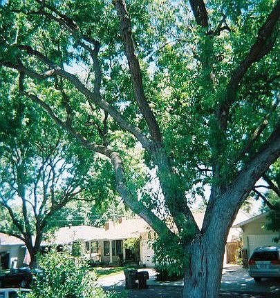 2nd image of 678 Starr Ct