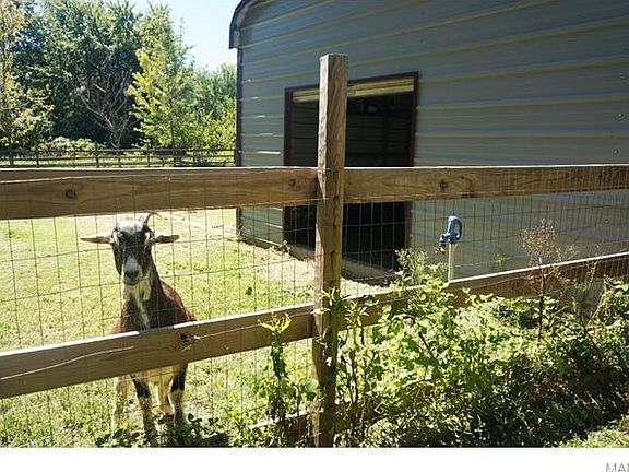 5th image of 11735 Eckert Ln