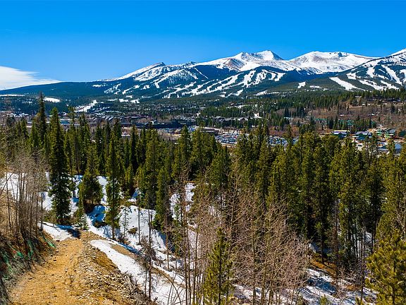 5th image of 309 Royal Tiger Rd