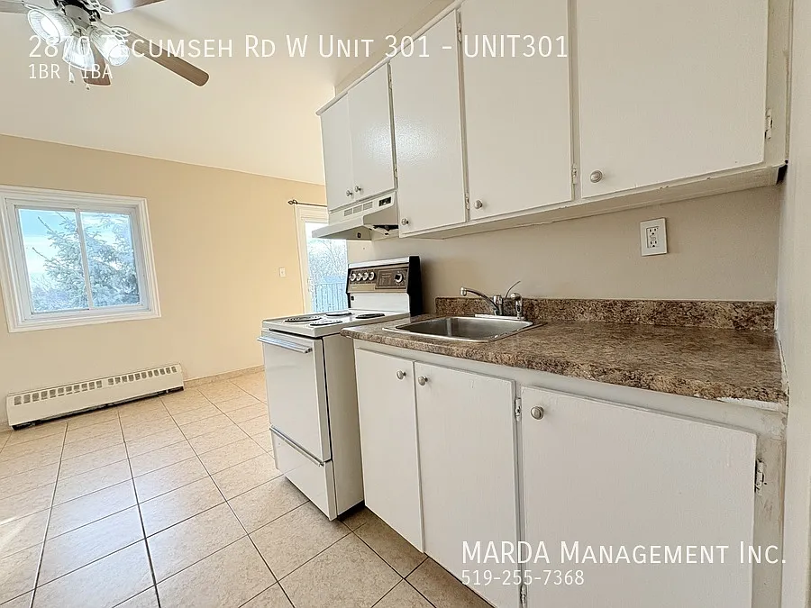 Spacious 1 Bed/1 Bath Unit Near University Of Windsor + Hydro — Photo 3