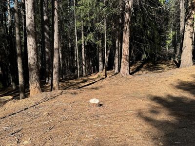 5771 Lupin Ln, Pollock Pines, CA, 95726