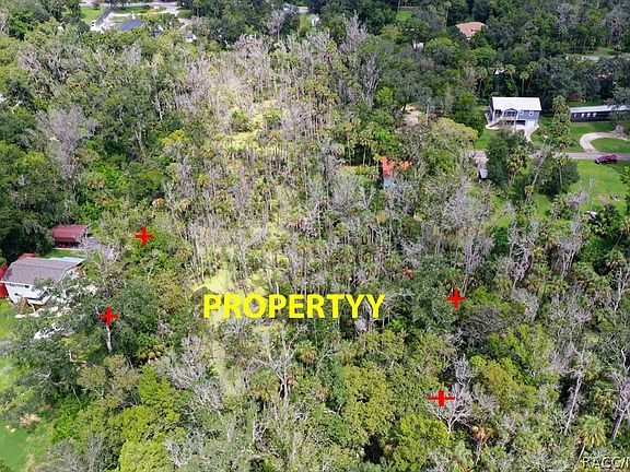 3rd image of 10487 W Palmetto St