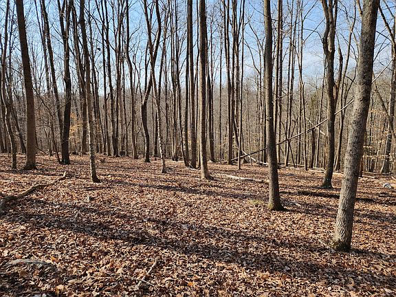 4th image of LOT 18 Turkey Run Ln