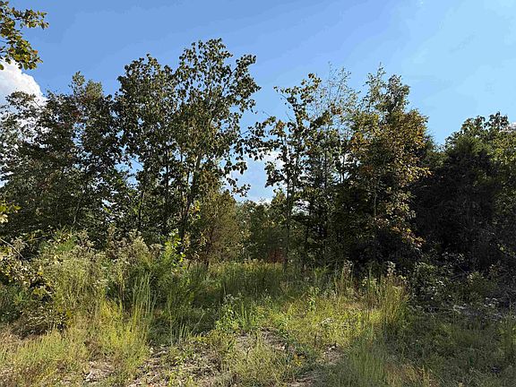 5th image of 1716 Ray Miller Rd Lot 3