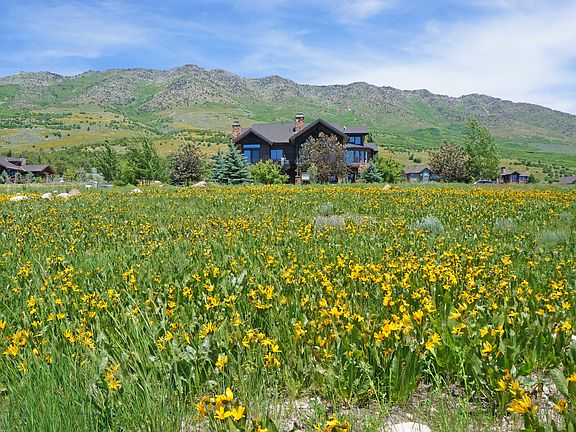 Back looking toward front