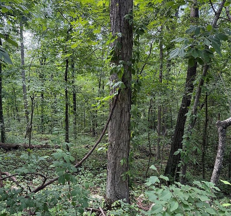 2nd image of 0 Kent Dr