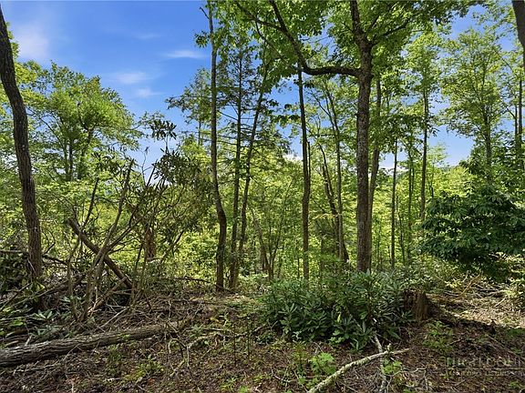 3rd image of TBD (Lot 60) Raven Ridge Road