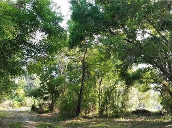 5523 Janes Dr, Wimauma, FL 33598