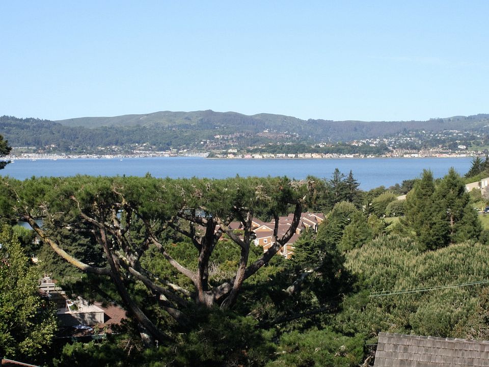 View From Unit
