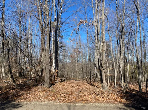 0 S Coolwell Rd Lot B, Madison Heights, VA 24572