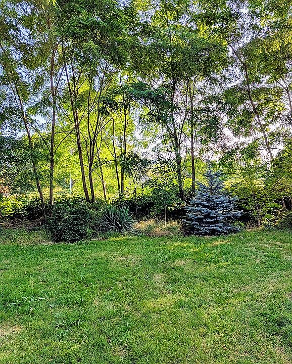 7th image of 965 Forest Ln #15