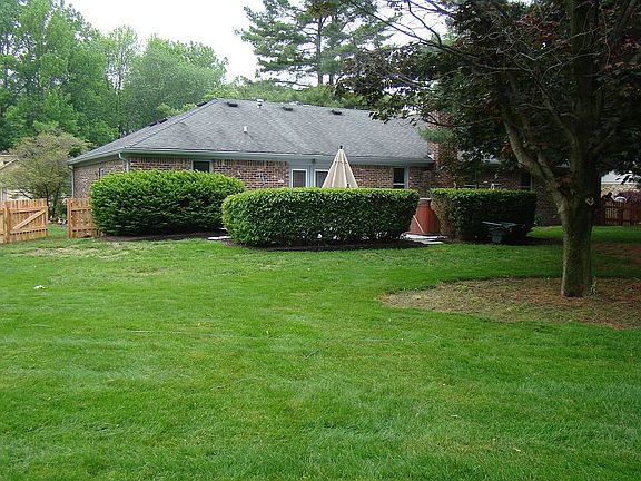 from the back yard view