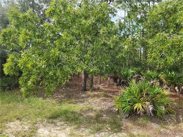 4400 N Deckwood Dr, Beverly Hills, FL 34465
