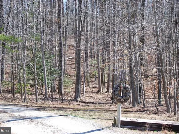 Patriot Ln, Fredericksburg, VA 22408