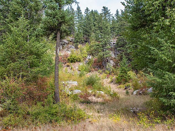 3rd image of 991 Jaspers Cabin Ln