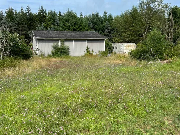 6710 Glendale Rd, Evart, MI 49631