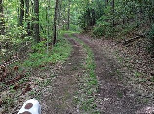 Mountain Lot, Del Rio, TN 37727