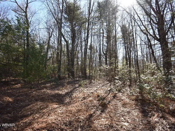 851 Wagmyr Ln, Loganton, PA 17747