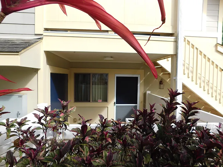 Side courtyard.