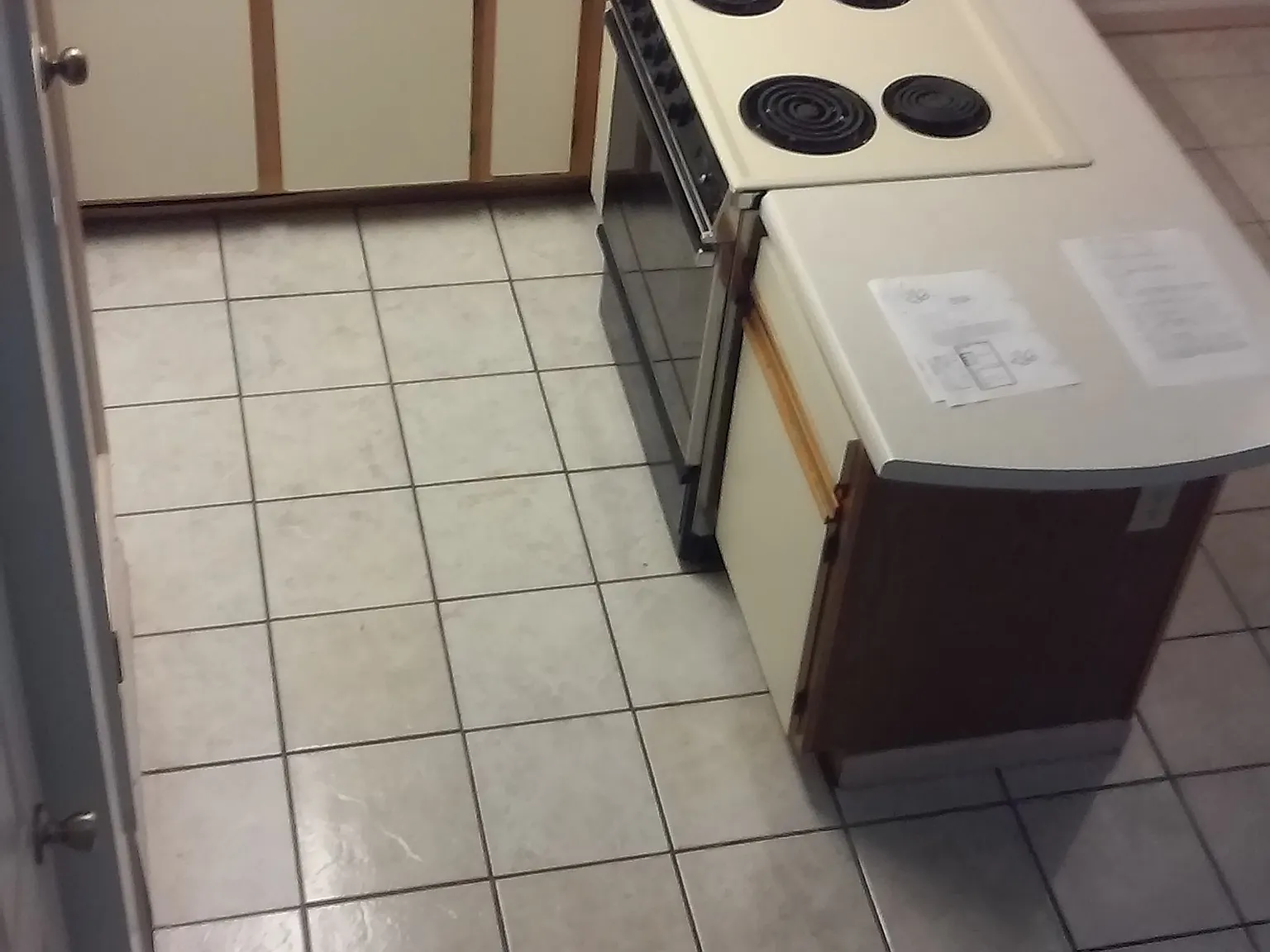 1 bed, 800 sqft, $1,250 — Photo 4
