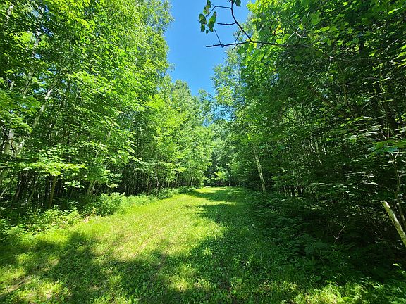 5th image of Simon Rd #78ACRES