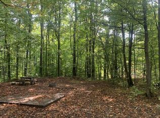 Shinn Rd #V/L, Mancelona, MI 49659