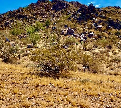 2nd image of 8027 E Saguaro Dr