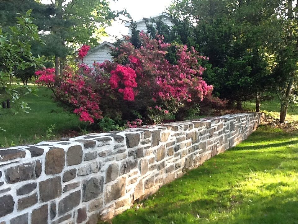 Azaleas, retaining wall
