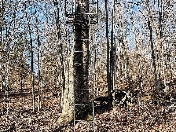 2nd image of 595 Harry Cherry Rd