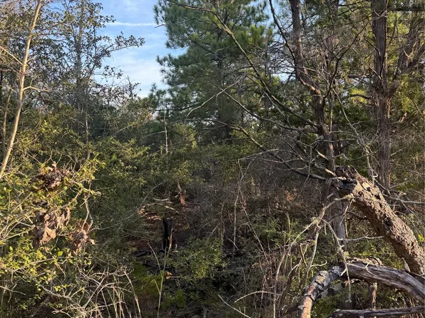 142 Helemano Dr, Bastrop, TX 78602