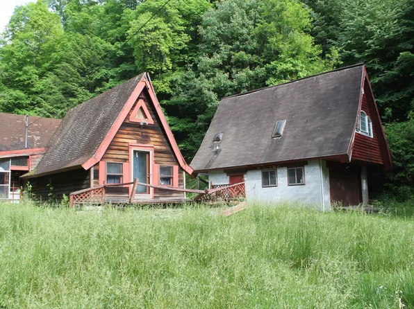 137 Hodam Creek Rd, Hacker Valley, WV 26222