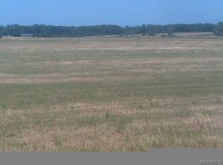 V L Feddick, Boston, NY 14025