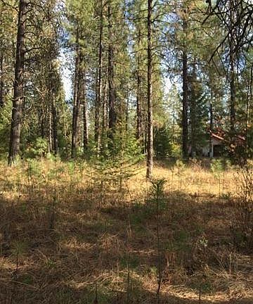 4th image of 234 Eagle Dr