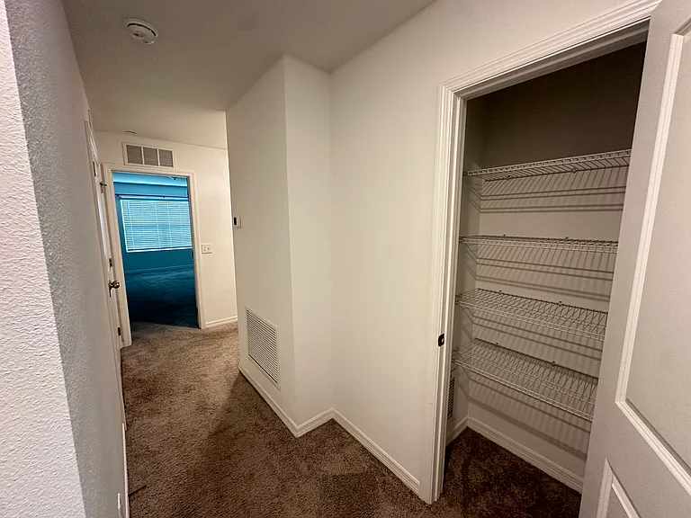 3067 Springwell Loop #3067 — Photo 30