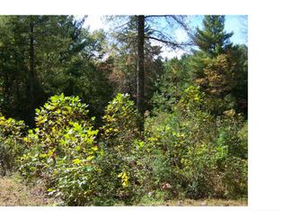 102 Fresh Start Ln, Murphy, NC 28906