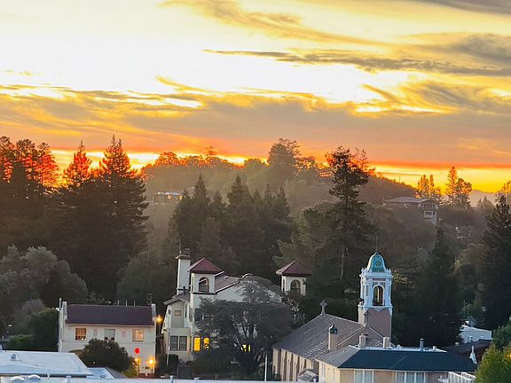 Good morning, Larkspur!