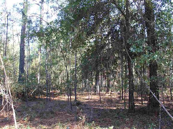 4th image of Vacant Ne Dixon Ct #0