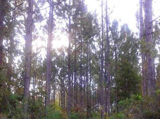 Bill Wells Rd, Ludowici, GA 31316