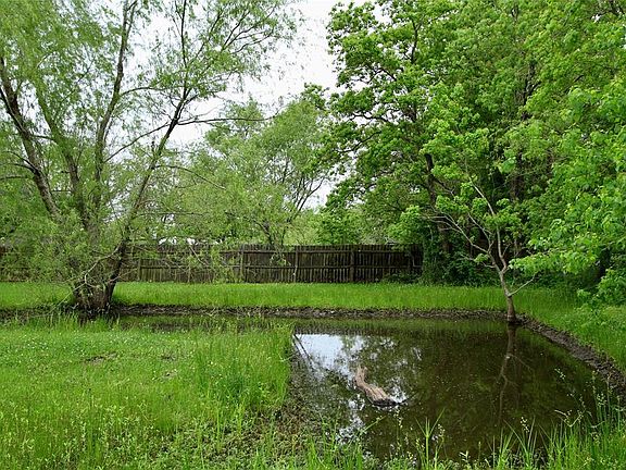 Nestled in one corner of the back yard is a Tranquil Retention Pond.