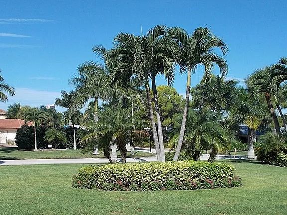 Grassy area