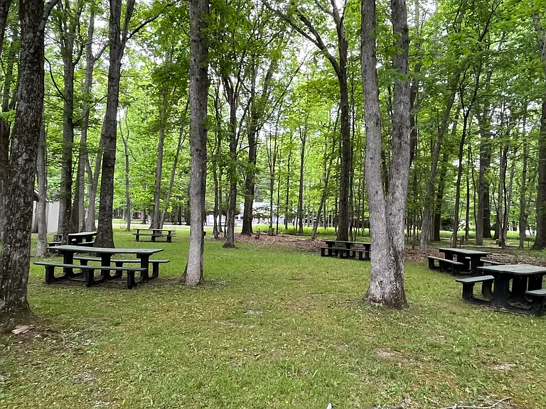 Bear Creek Lakes Amenities
