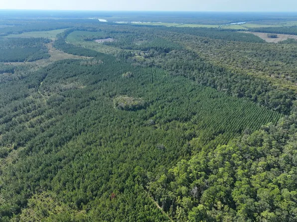 100/- Ac Hwy #252, White Oak, GA 31568
