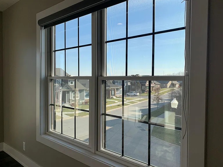 Great neighbor views