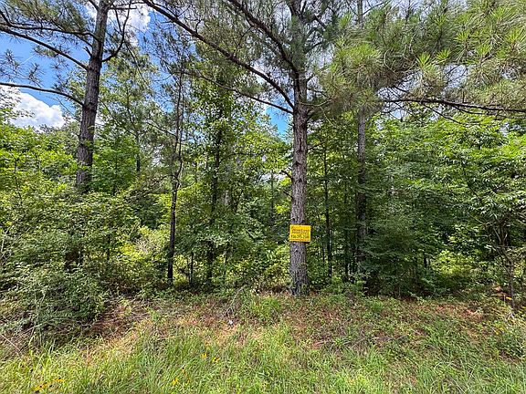 4th image of 2 Posey Webb Camp Rd